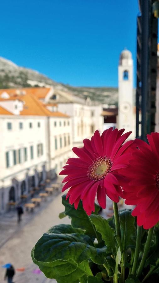 Apartment Stradun In The Heart Of Old City Dubrovnik Kültér fotó