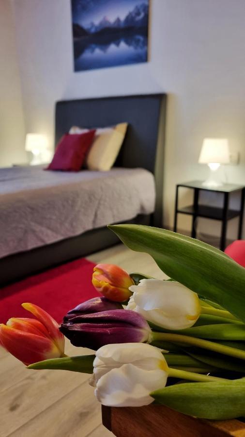 Apartment Stradun In The Heart Of Old City Dubrovnik Kültér fotó